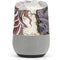 Amy Brown Dragon Charmer Fairy Google Home Skin